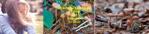 амфетамин Медвежьегорск