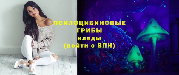 трава Мегион