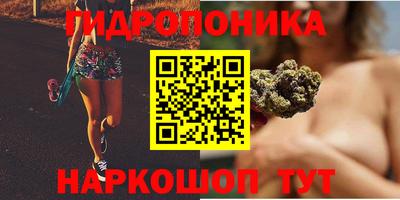ALPHA PVP Ачхой-Мартан