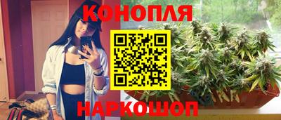 ALPHA PVP Ачхой-Мартан